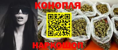 бошки Гатчина