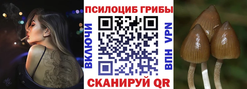 Галлюциногенные грибы GOLDEN TEACHER Ангарск
