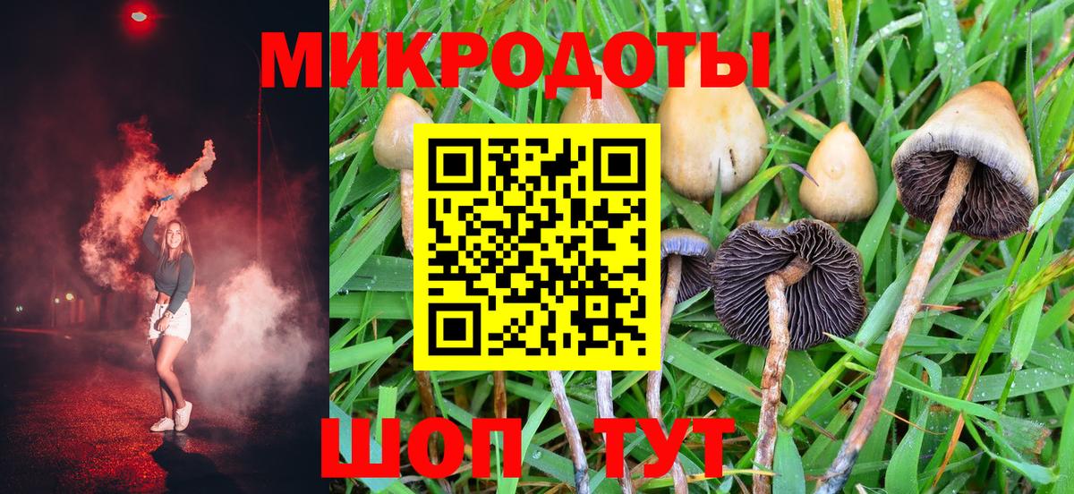 Псилоцибиновые грибы Psilocybe Ангарск