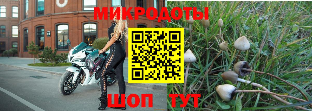 Галлюциногенные грибы GOLDEN TEACHER Ангарск