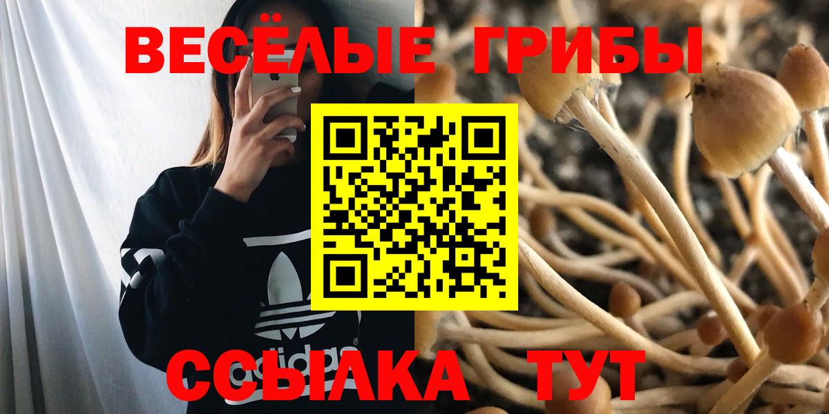 Псилоцибиновые грибы прущие грибы  Псилоцибиновые грибы мухоморы  Вход с VPN  Ангарск 