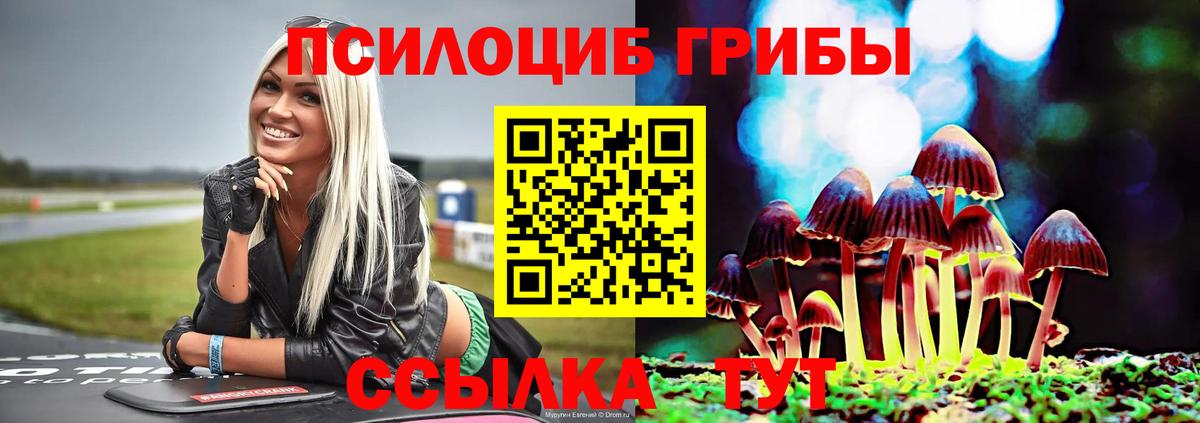 Галлюциногенные грибы мицелий  Ангарск  Галлюциногенные грибы мухоморы 